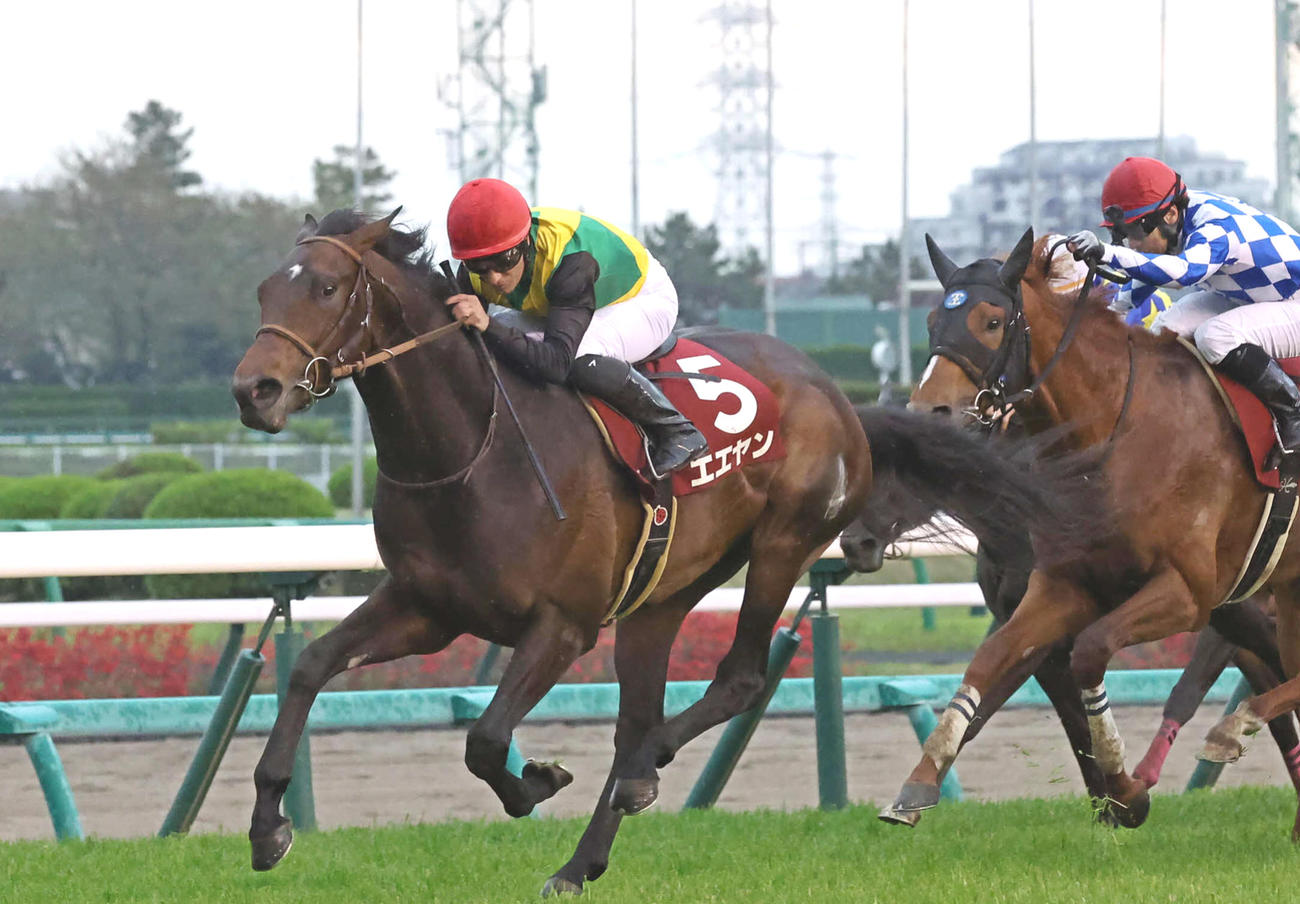 直線鋭く伸びてNZTを制したエエヤンとM・デムーロ騎手（左）（撮影・丹羽敏通）