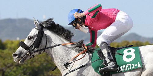 オメガパフュームでアンタレスSを制して力強くガッツポーズする横山和生騎手＝2022年4月17日、阪神競馬場