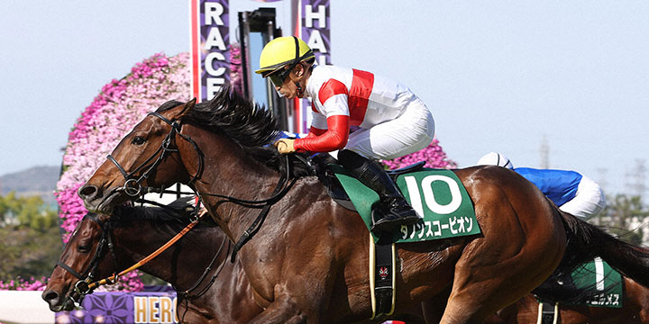 アーリントンCを制したダノンスコーピオン＝2022年4月16日、阪神競馬場