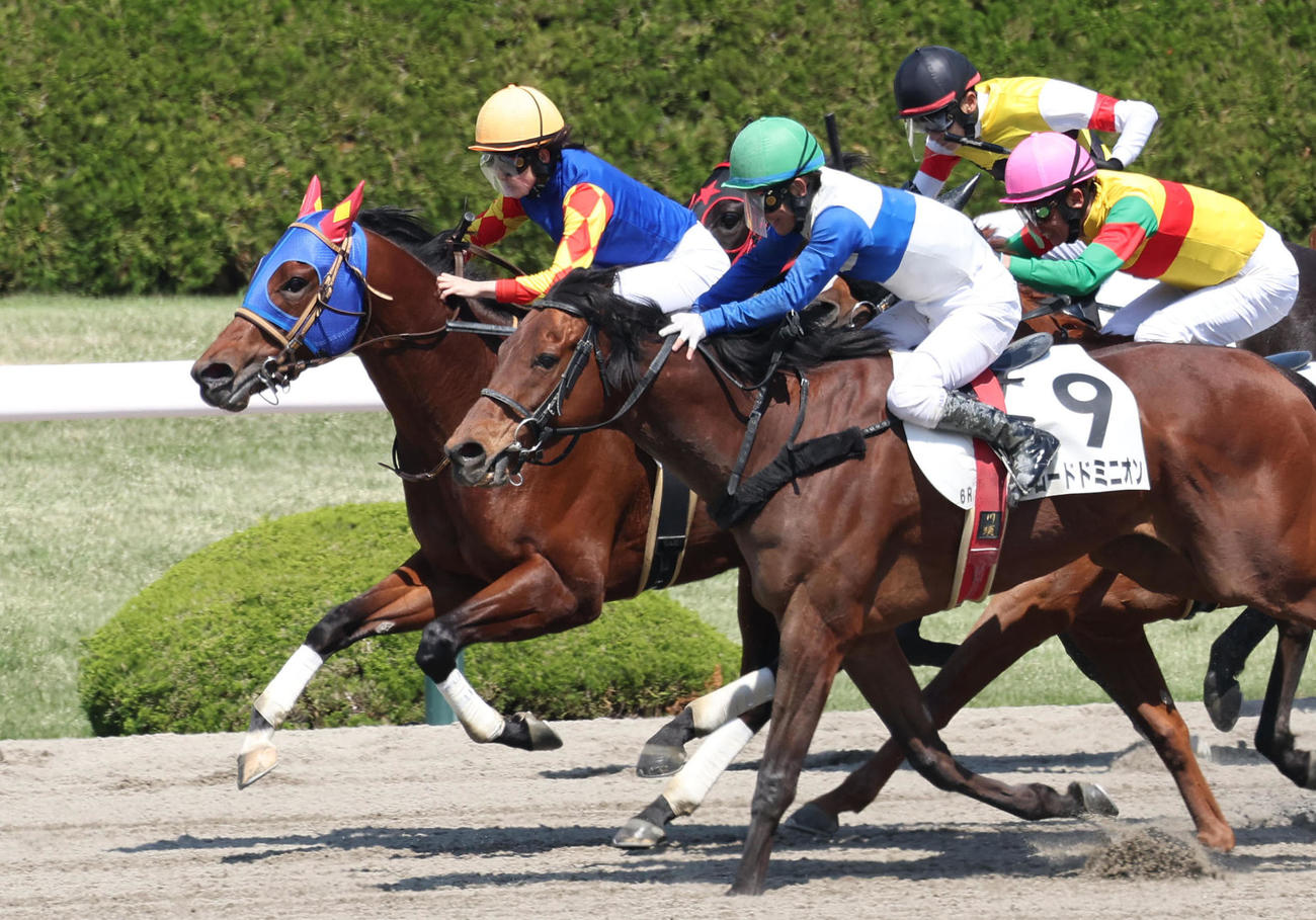 古川奈騎手（左）は阪神6Rをエバニスタで勝利した（撮影・白石智彦）
