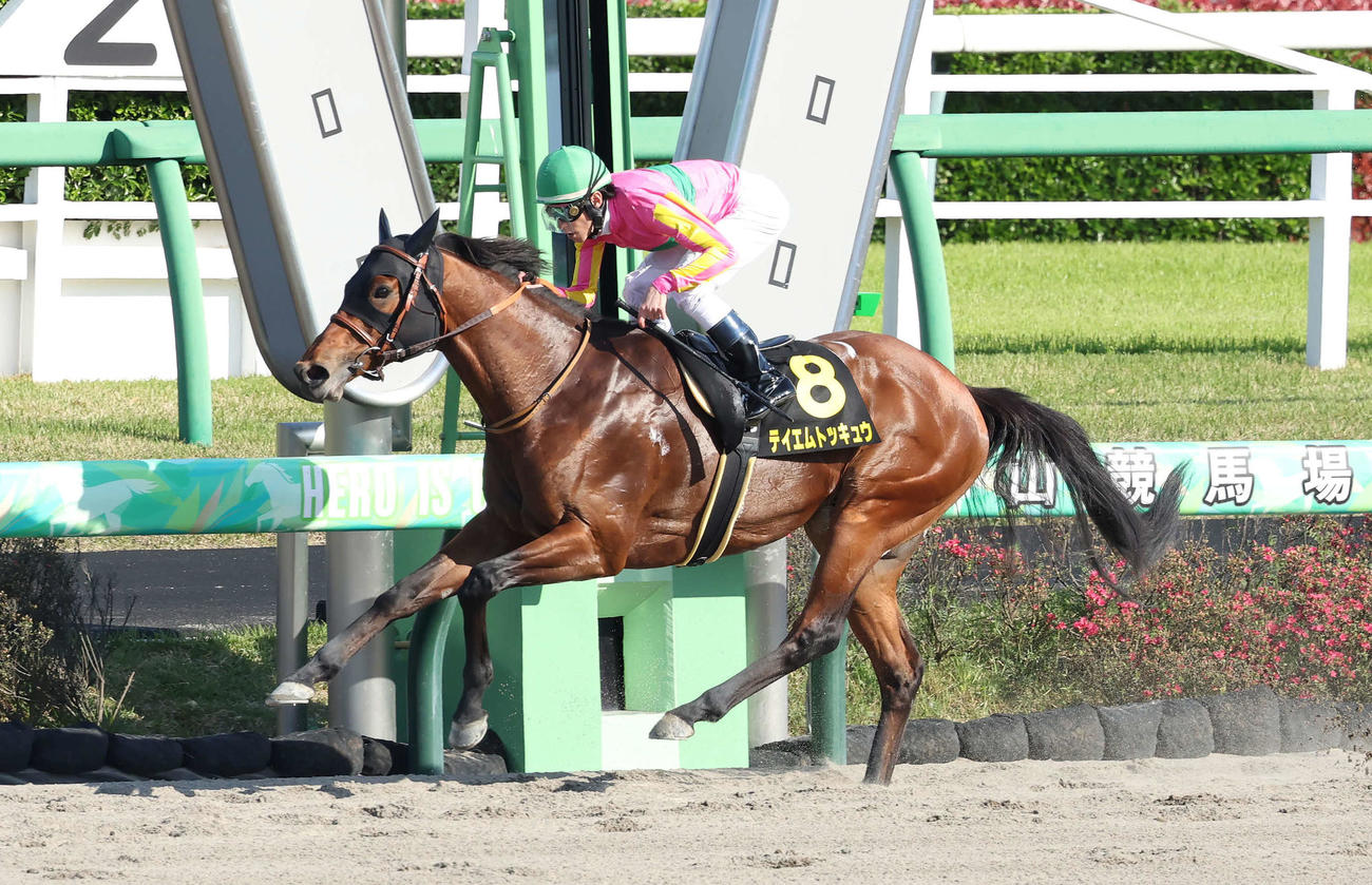 中山11R、京葉Sを快勝したテイエムトッキュウと津村騎手（撮影・丹羽敏通）