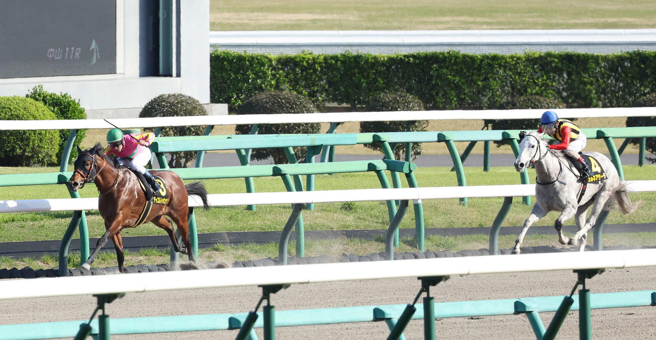 中山11R、京葉Sを快勝したテイエムトッキュウと津村騎手（左）（撮影・丹羽敏通）