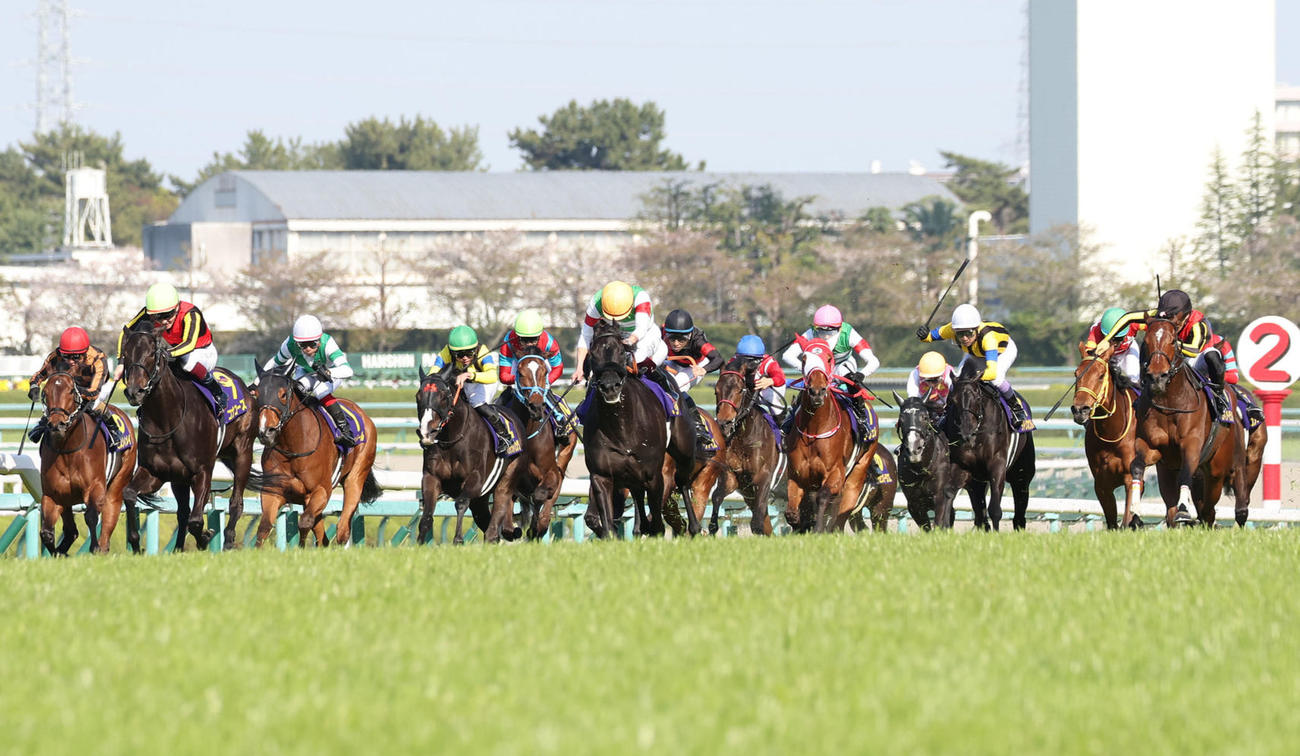 桜花賞2着に敗れたコナコースト（左から2頭目）。右端は勝ったリバティアイランド（撮影・白石智彦）