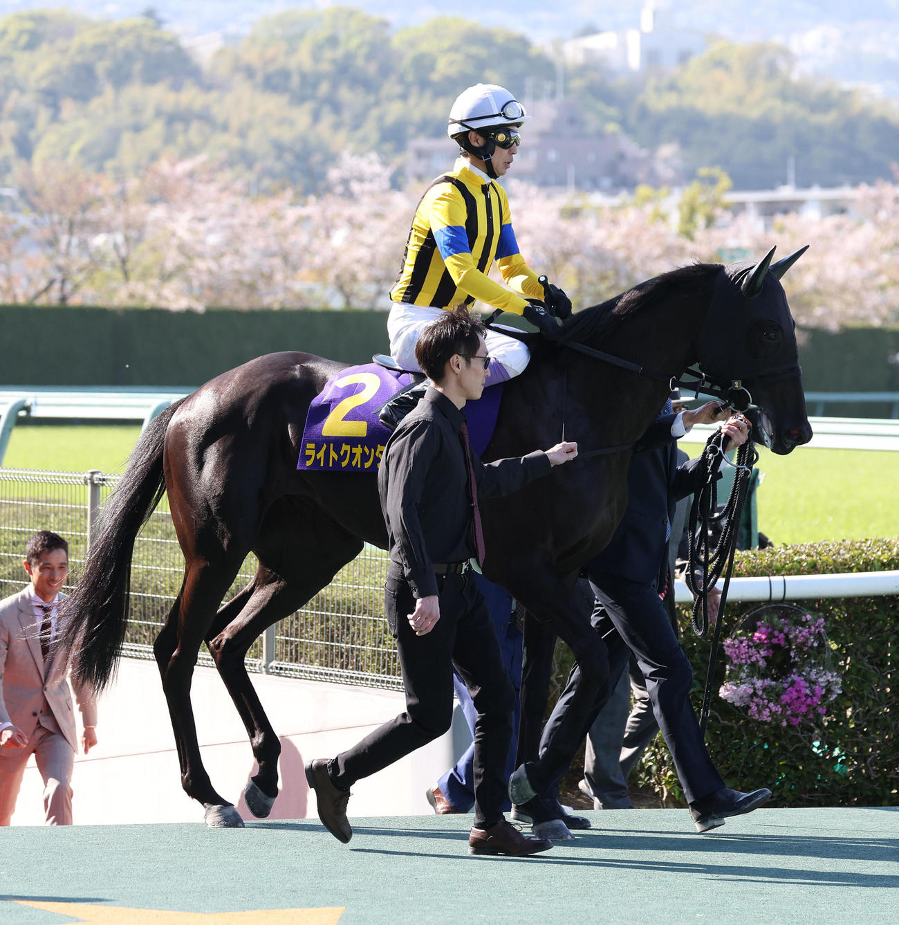 桜花賞、馬場入りするライトクオンタム（撮影・白石智彦）