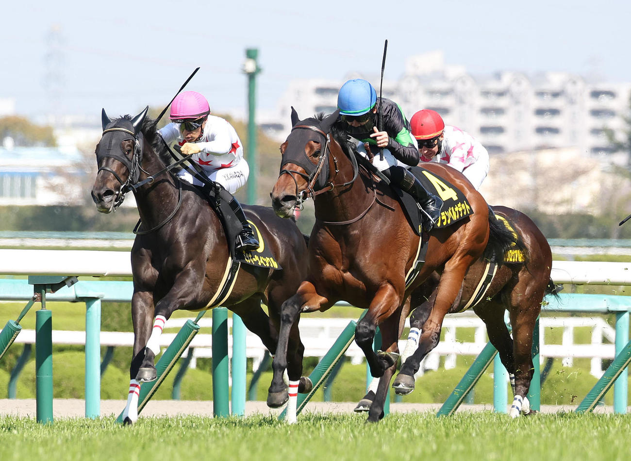 阪神9R、直線抜け出して忘れな草賞を制したグランベルナデット（右）（撮影・白石智彦）