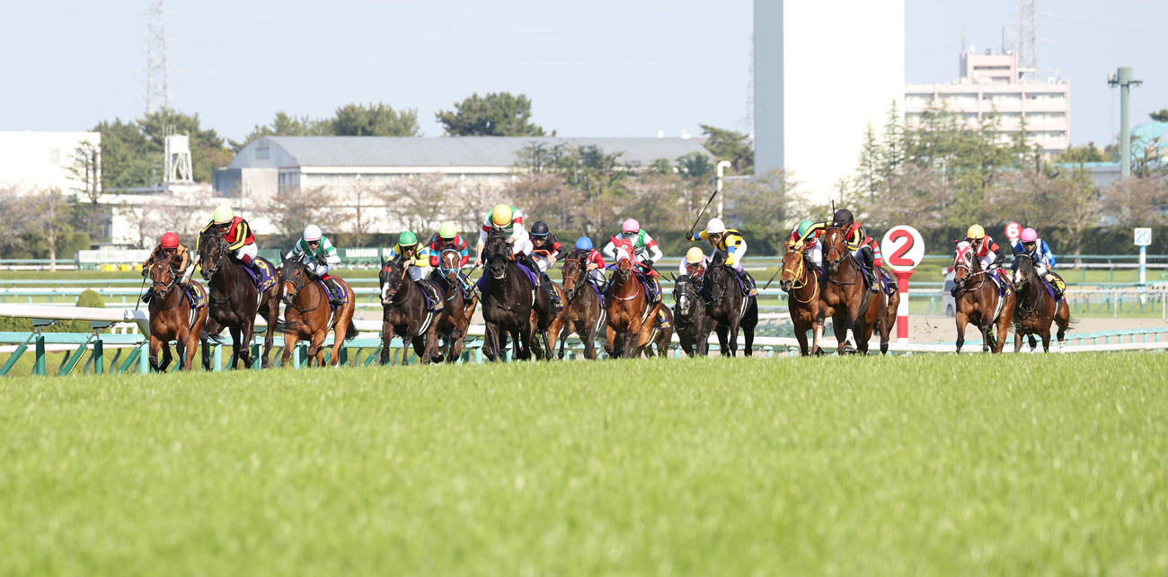 直線突き抜けて桜花賞を制したリバティアイランド（右から3頭目）（撮影・白石智彦）