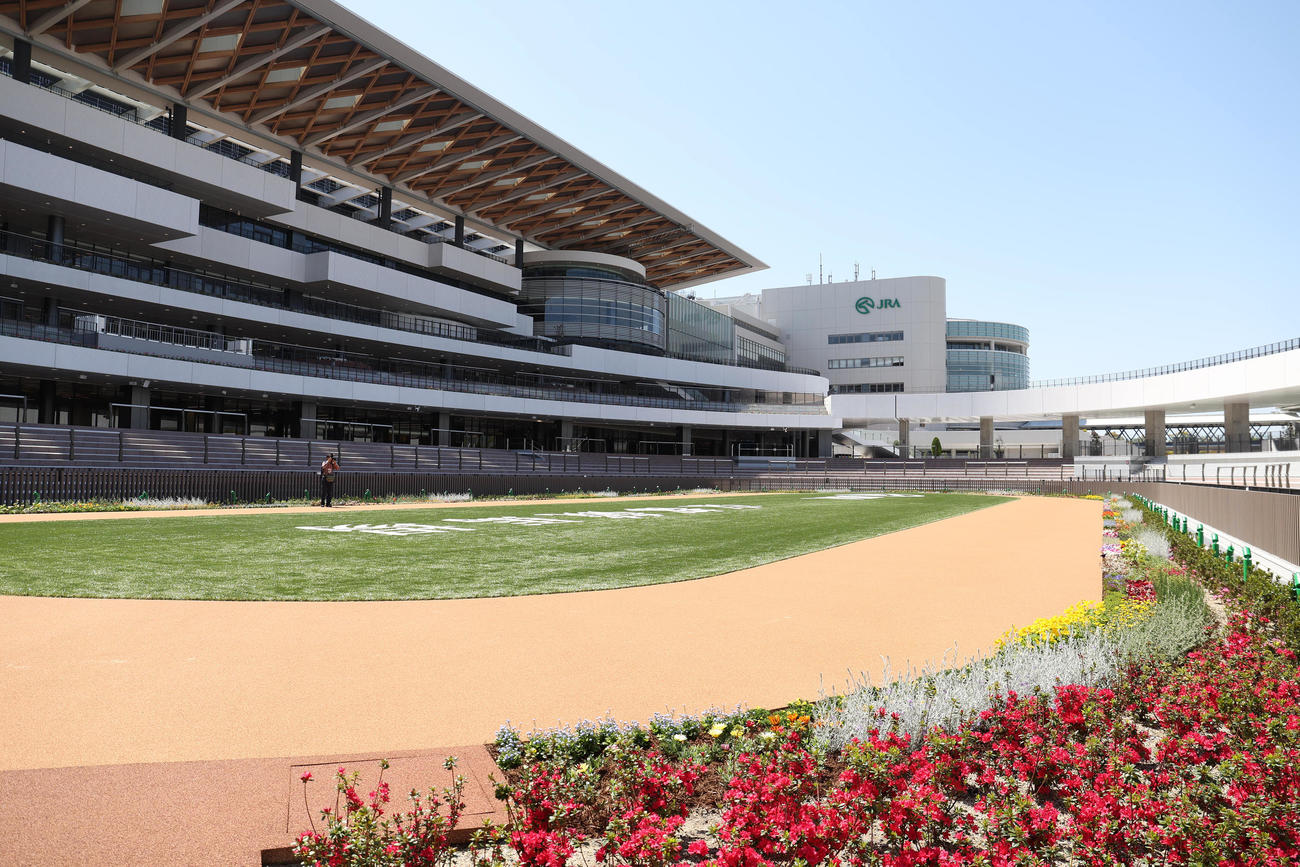 内覧会でお披露目された京都競馬場の新しくなったパドック（撮影・白石智彦）