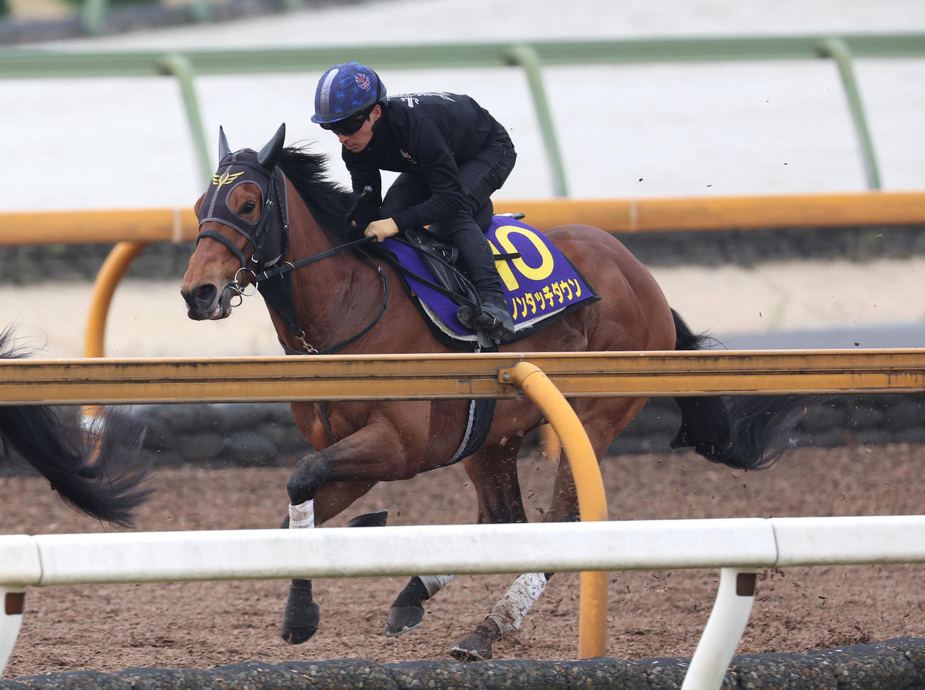 4月5日、併せ馬で追い切るダノンタッチダウン