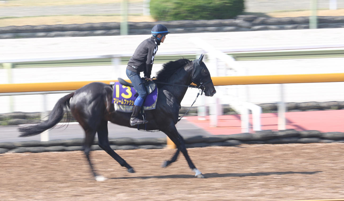 4月4日、CWコースで調整されるフリームファクシ