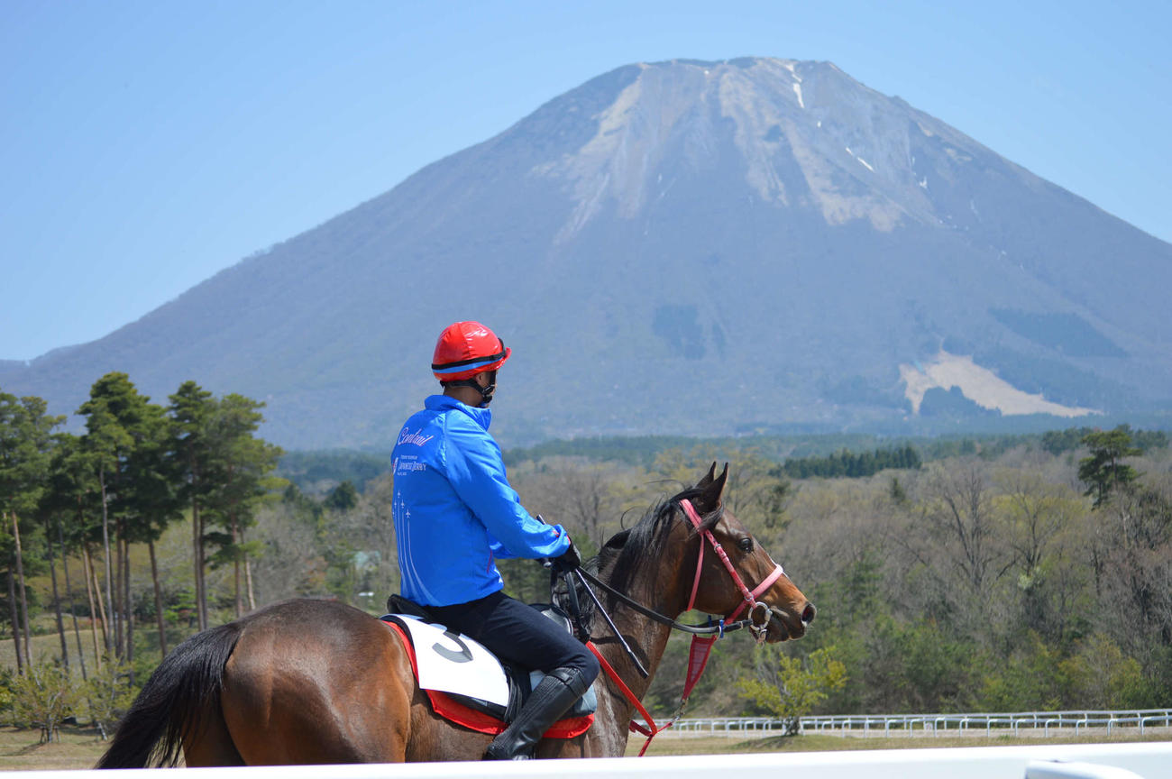 大山ヒルズ開場20周年感謝の集いで行われた坂路での公開調教で当場したラフィーリア21（父キズナ）