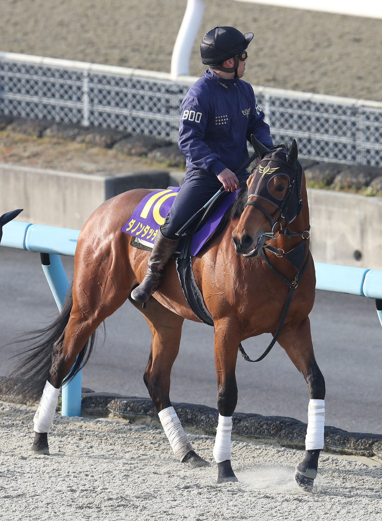 ダートコースで調整するダノンタッチダウン（撮影・白石智彦）