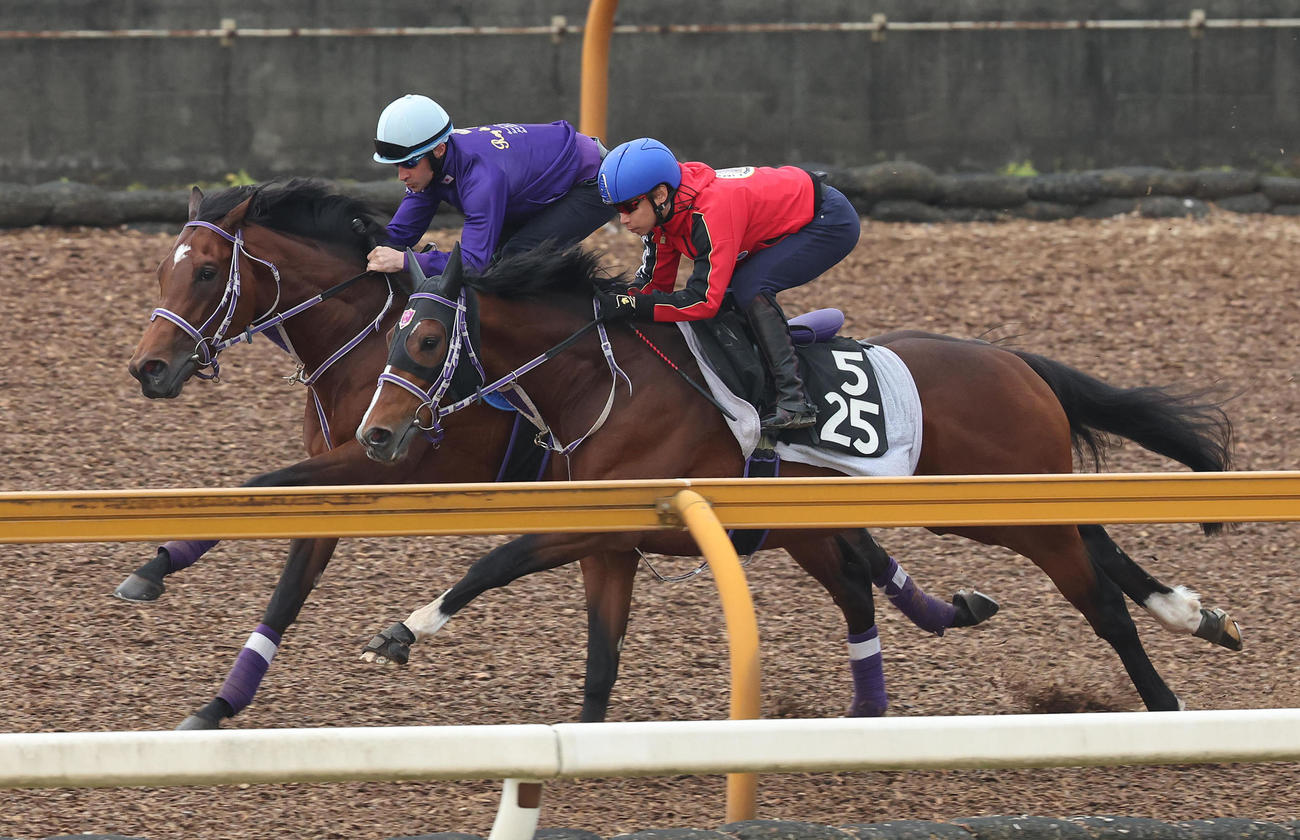 ルメール騎手を背にシルヴァーデューク（右）と併せ馬で追い切るファントムシーフ（撮影・白石智彦）
