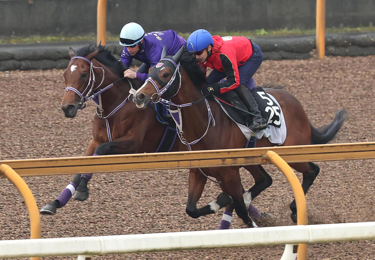 ルメール騎手を背にシルヴァーデューク（右）と併せ馬で追い切るファントムシーフ（撮影・白石智彦）