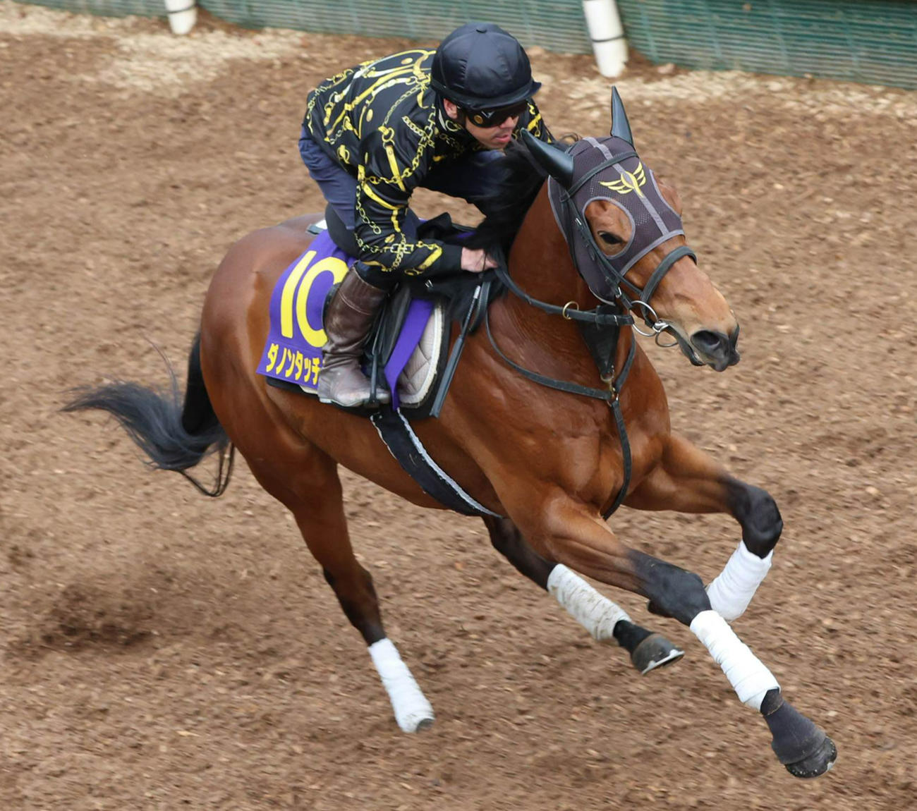 坂路で併せ馬に大差先着するダノンタッチダウン
