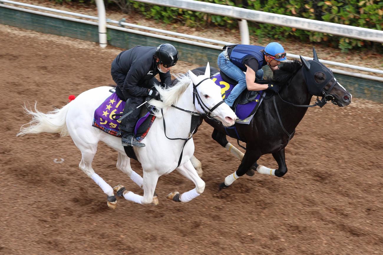 坂路でソダシ（左）と併せたフリームファクシ