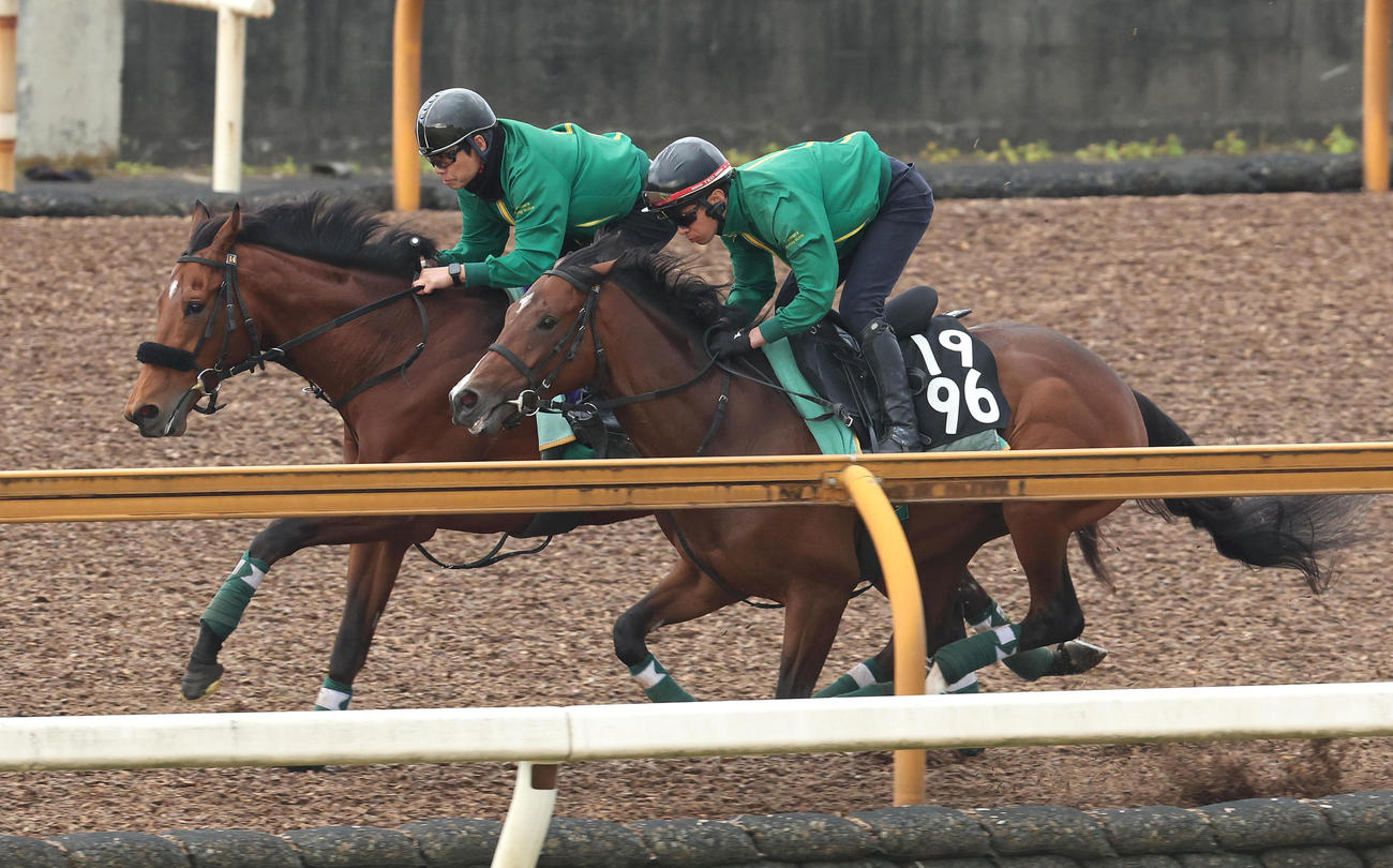 Cウッドをマコトヴェリーキー（右）と併せ馬で追い切るベラジオオペラ（撮影・白石智彦）