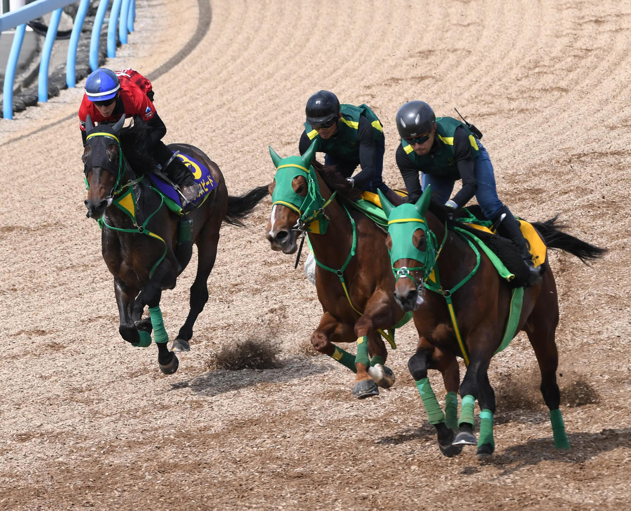 メタルスピード（左）はトキメキ（中央）、フルデプスリーダーと併せて追い切る（撮影・柴田隆二）