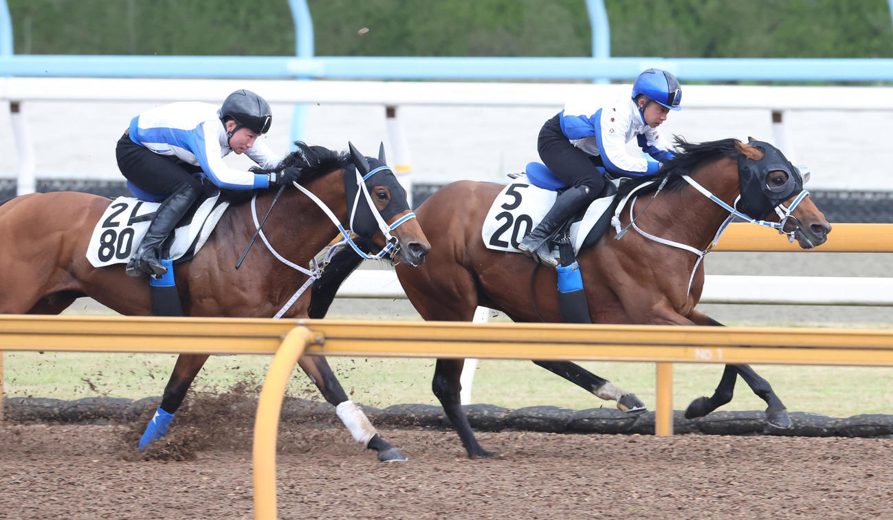 岩田康騎手を背にCウッドにて併せ馬で追い切るキングズソード（右）