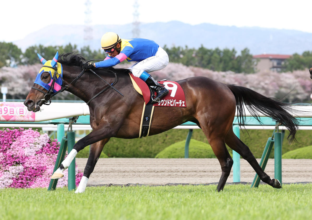 阪神牝馬Sを制したサウンドビバーチェ（2023年4月8日撮影）