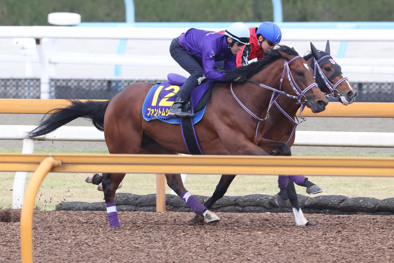 ルメール騎手を背にCWコースにて併せ馬で追い切るファントムシーフ（手前）
