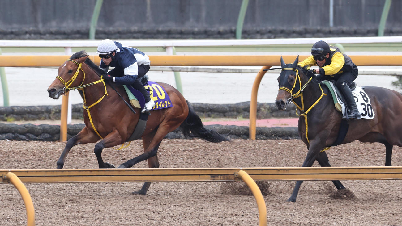 CWコースにて併せ馬で追い切るワンダイレクト（左）