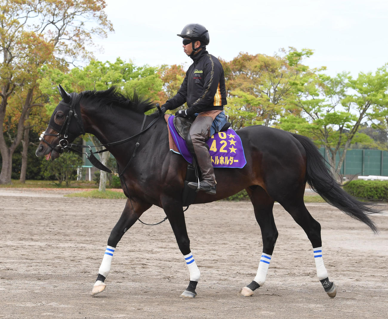 天皇賞・春2週前追い切りに臨んだタイトルホルダー（撮影・柴田隆二）