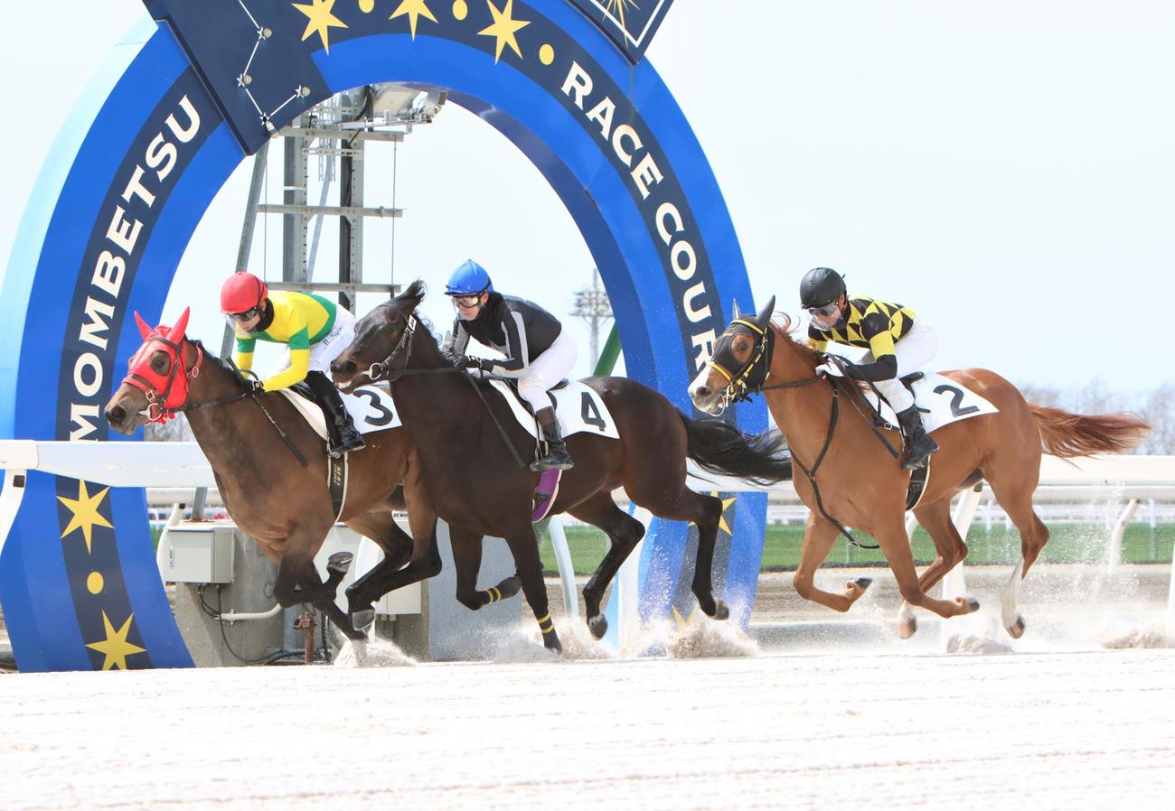 白い砂に一新された本馬場を走る2歳馬（撮影・奥村晶治）