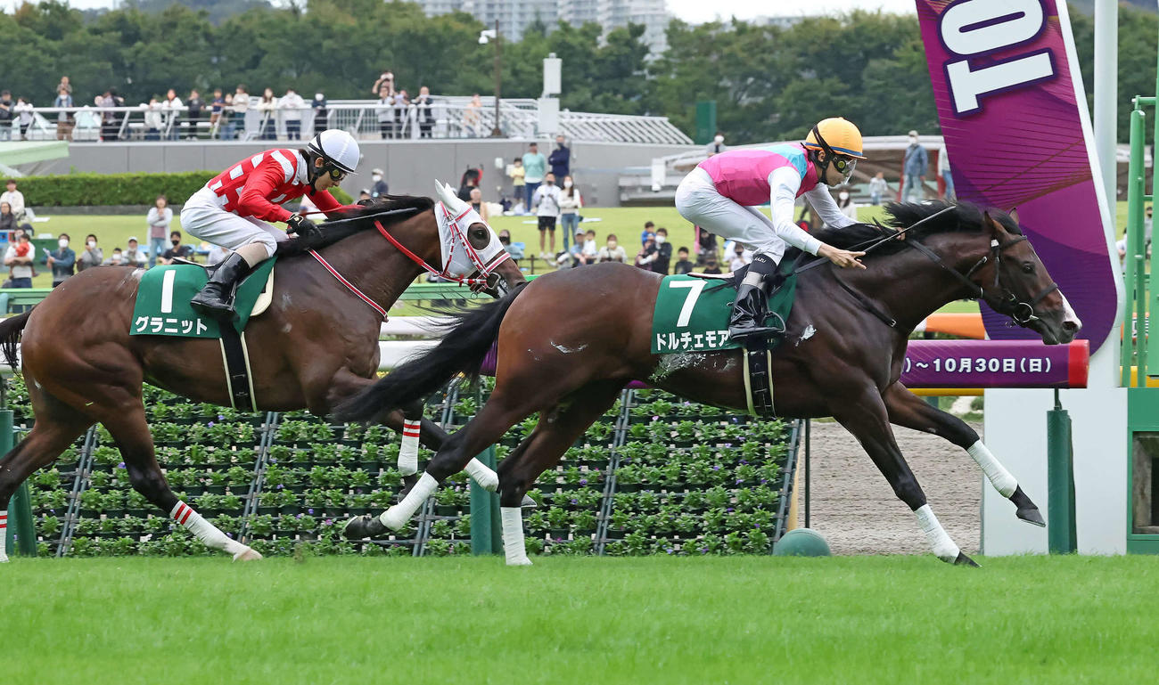サウジアラビアRCで2着に粘ったグラニット（左）。右は勝ったドルチェモア（2022年10月8日撮影）