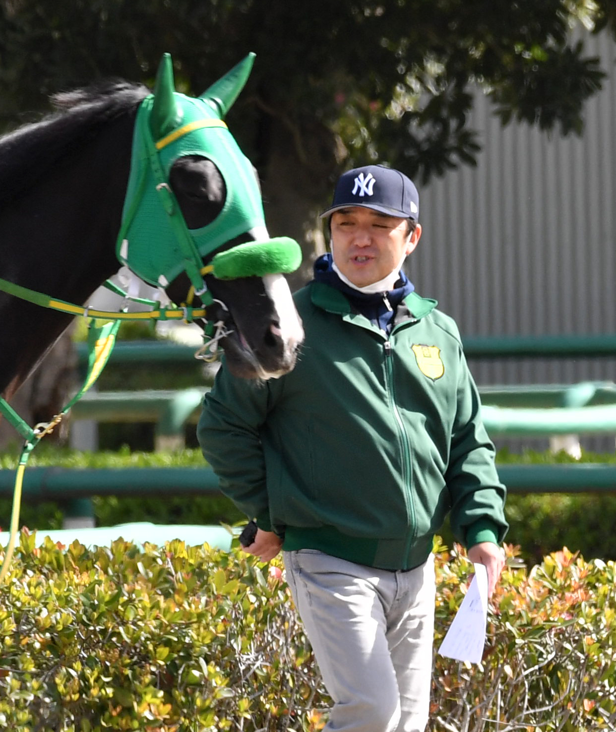 管理馬を見つめる斎藤誠師（撮影・柴田隆二）