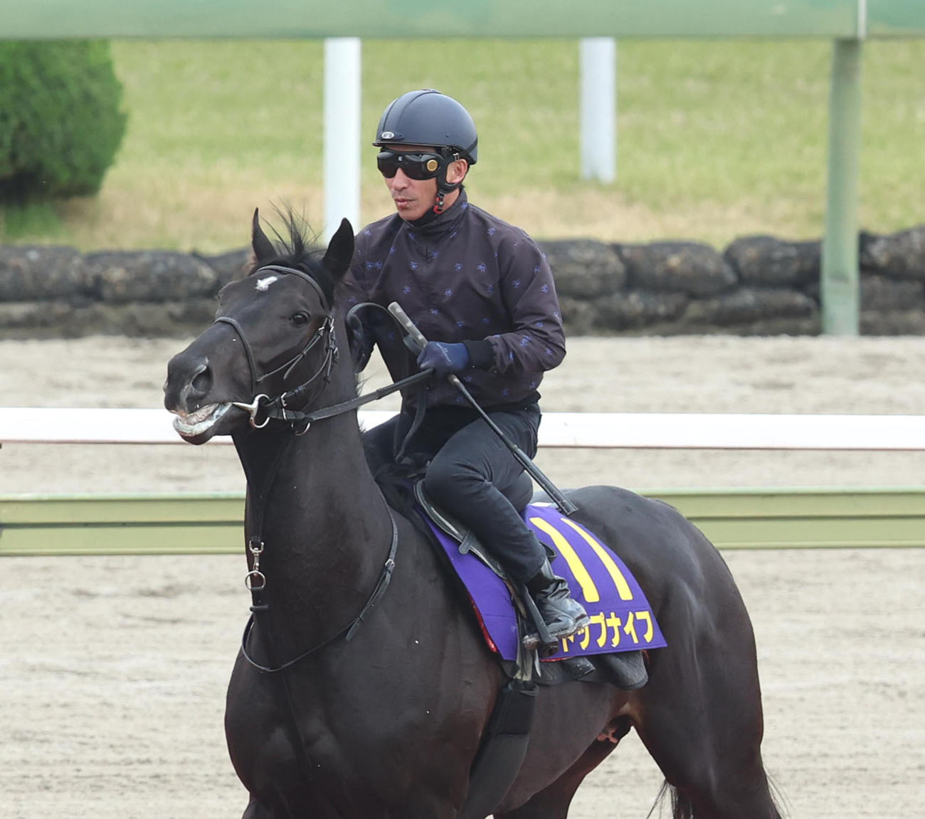 横山典騎手を背に馬場入りするトップナイフ（2023年4月12日撮影）