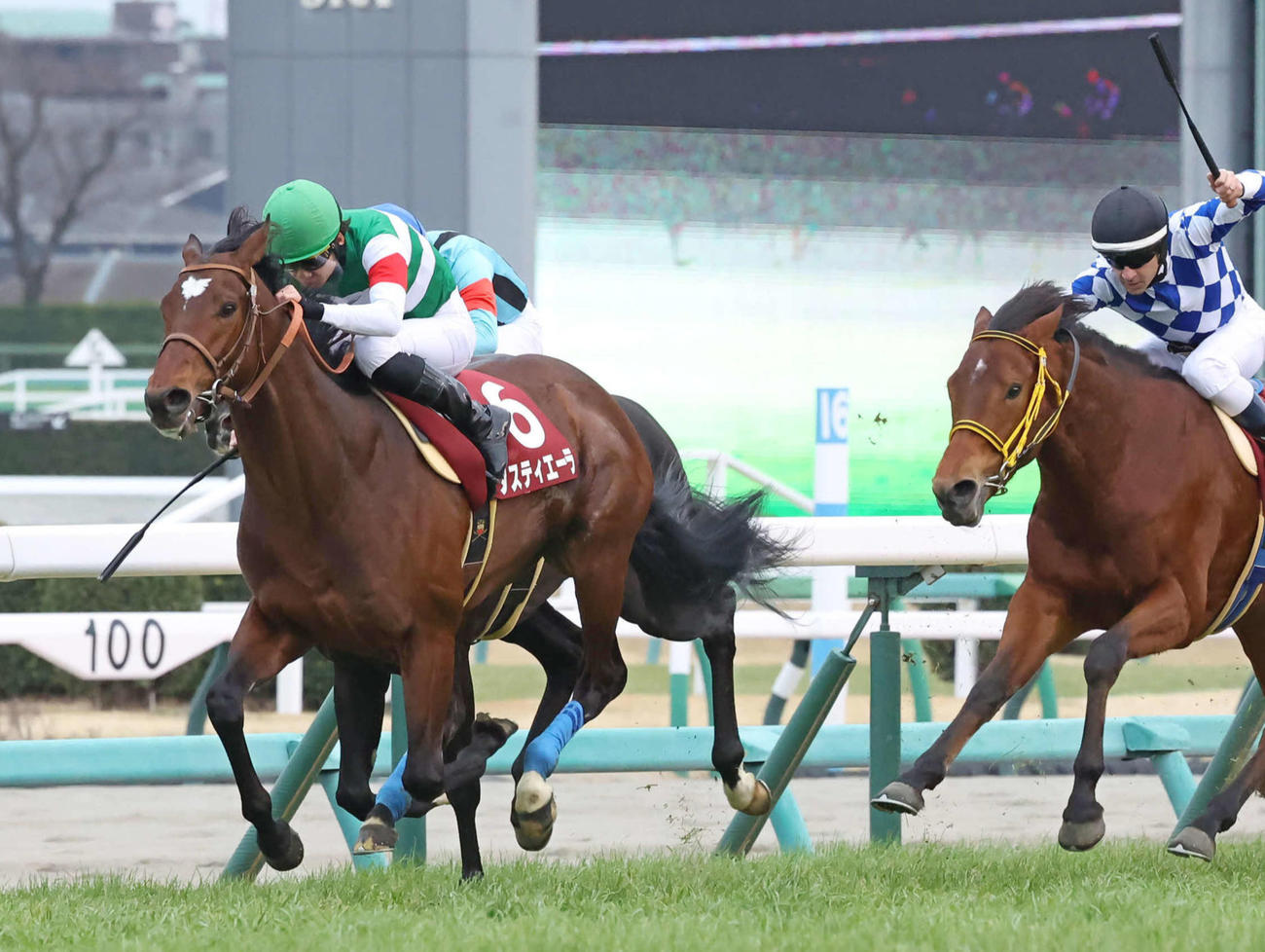 弥生賞を制したタスティエーラと松山騎手（左）