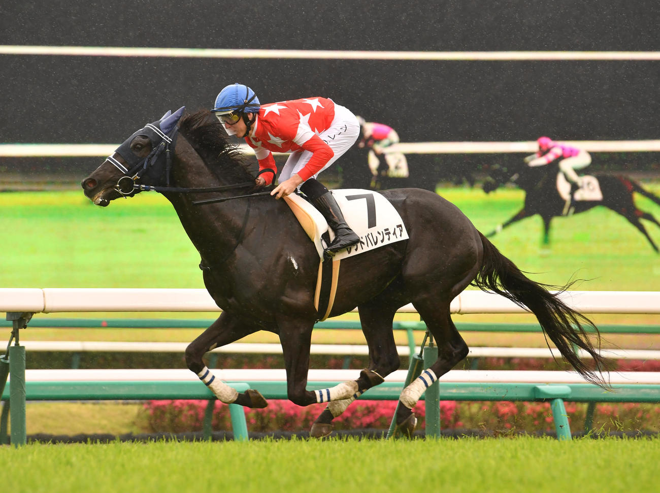 中山5R1着レッドバレンティアとレーン騎手（撮影・柴田隆二）