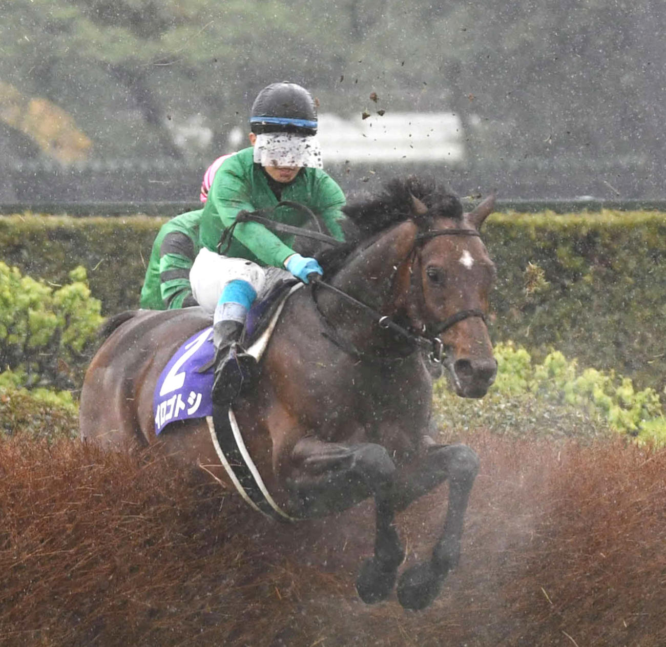 中山グランドJを制したイロゴトシと黒岩騎手（撮影・柴田隆二）
