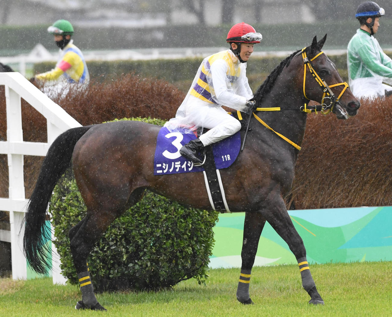 中山グランドJで9着に敗れたニシノデイジーと石神騎手（撮影・柴田隆二）