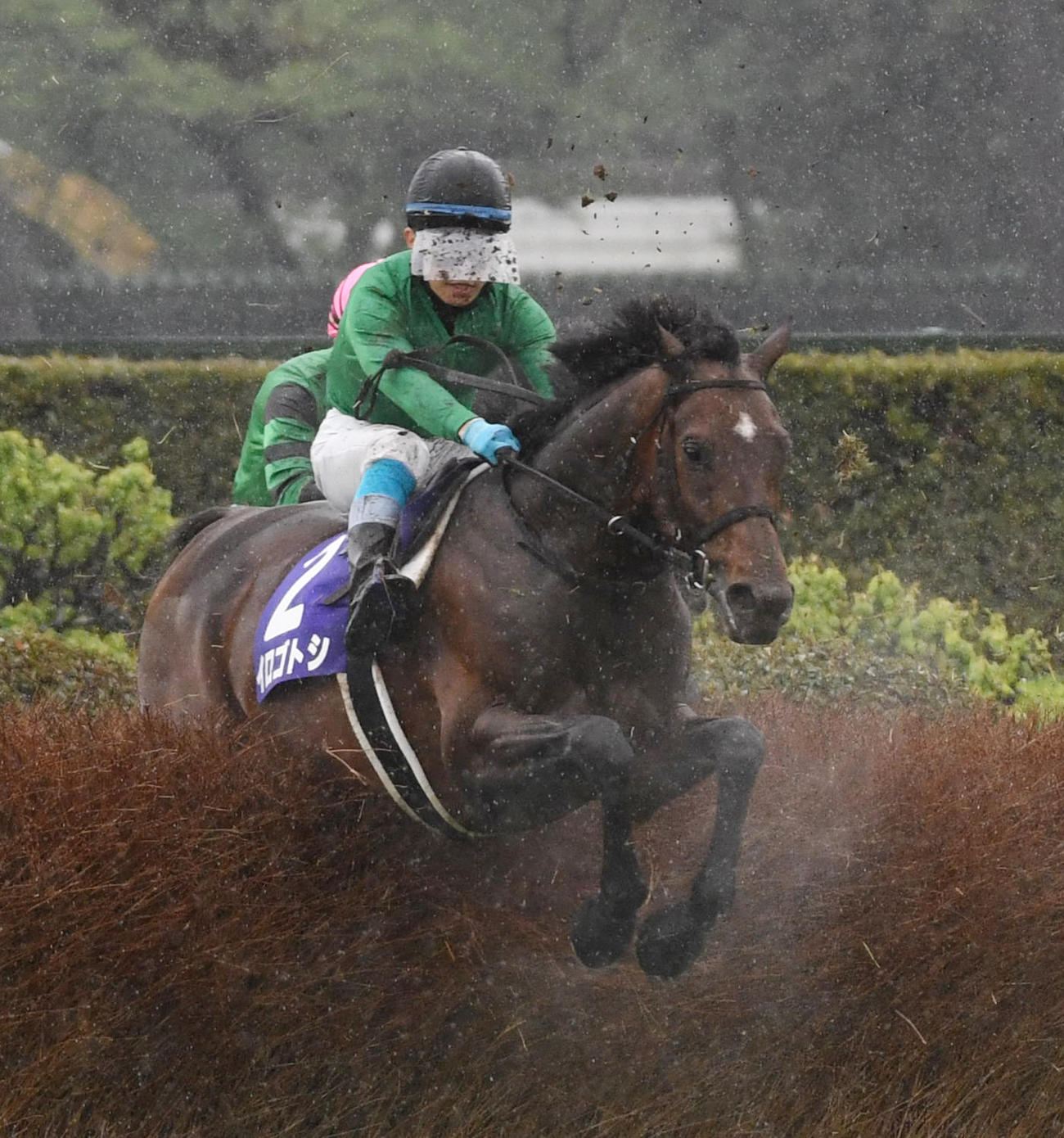 中山グランドJを制したイロゴトシと黒岩騎手が障害を飛越する（撮影・柴田隆二）
