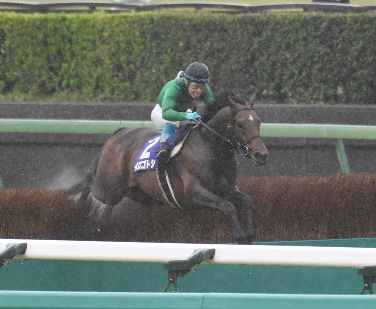 中山11R、飛越する中山グランドJを制したイロゴトシと黒岩騎手（撮影・柴田隆二）