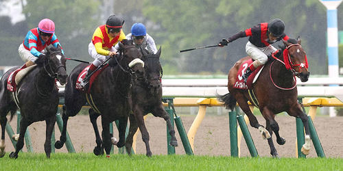 エリカヴィータ（左から2頭目）がフローラSを制した＝2022年4月24日、東京競馬場