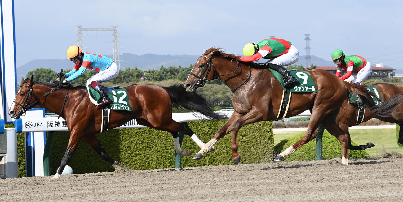 逃げ切ってアンタレスSを制したプロミストウォリア（撮影・前岡正明）
