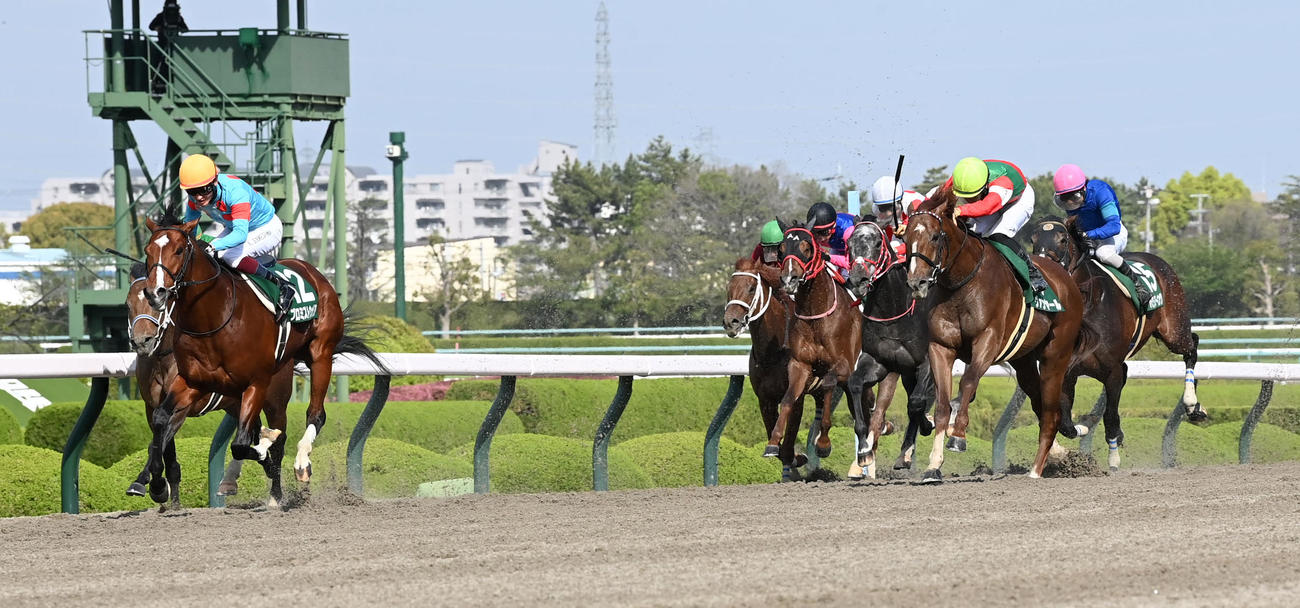 逃げ切ってアンタレスSを制したプロミストウォリア（撮影・前岡正明）