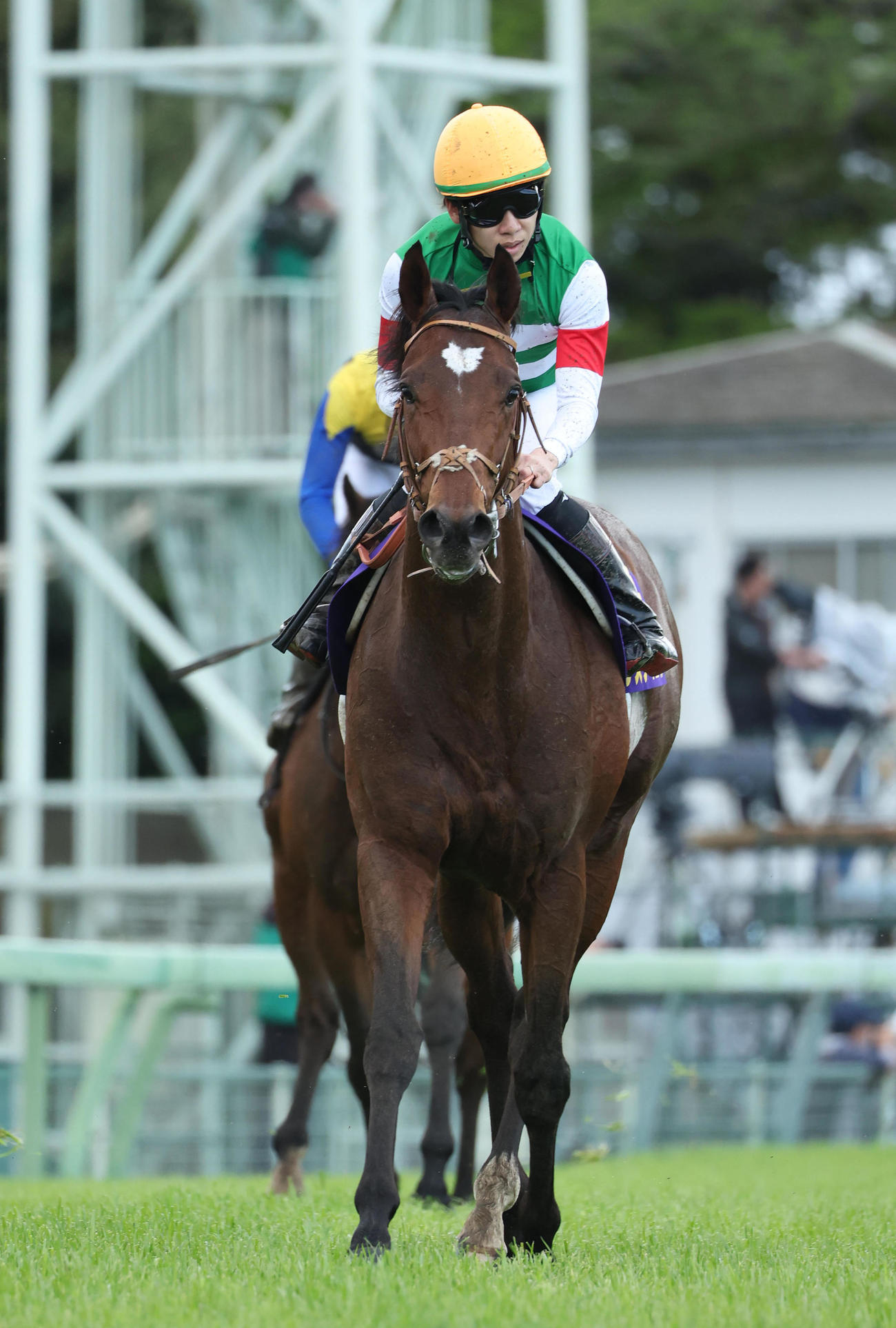 皐月賞、2着に敗れたタスティエーラ（撮影・白石智彦）