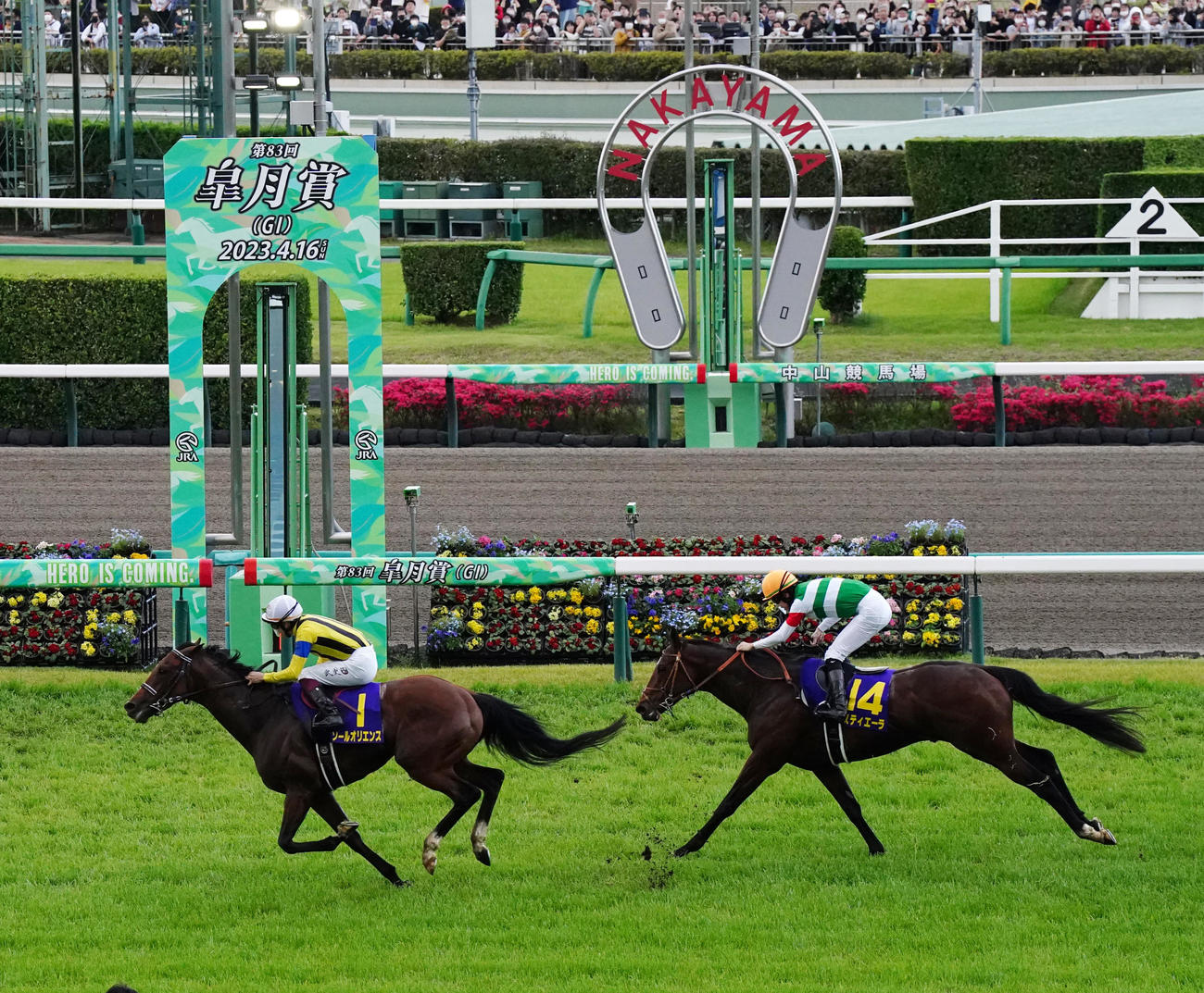 皐月賞を制したソールオリエンスと横山武騎手。右は2着のタスティエーラと松山騎手（撮影・江口和貴）