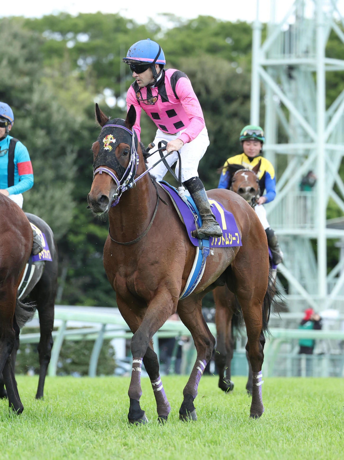 皐月賞、3着に敗れた1番人気のファントムシーフ（撮影・白石智彦）