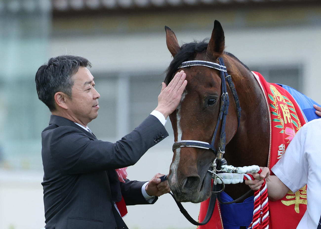 ソールオリエンスをなでる手塚師（撮影・白石智彦）