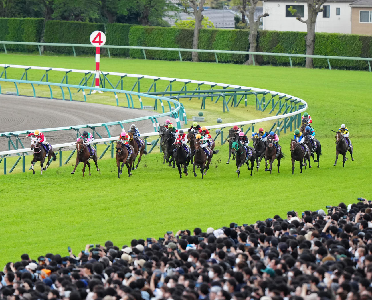 ゴールに向かう皐月賞の出走馬たち