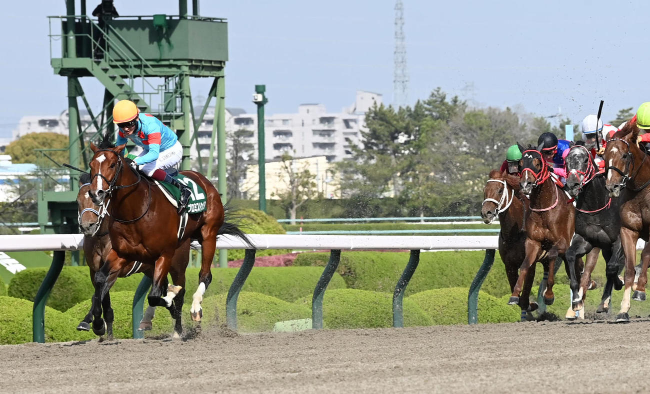 逃げ切ってアンタレスSを制したプロミストウォリア（撮影・前岡正明）