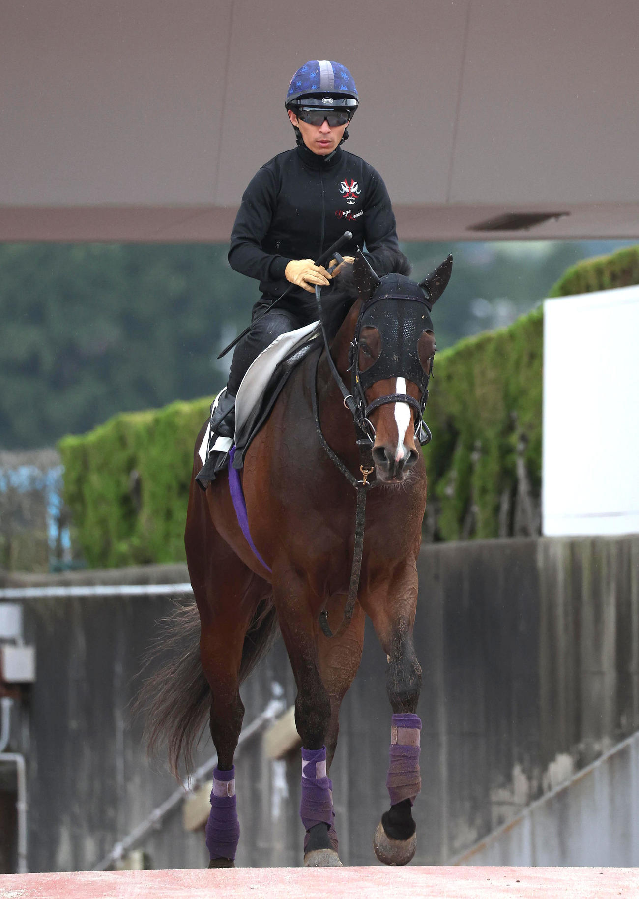 12日、川田騎手を背に調教から引き揚げるジャスティンスカイ（撮影・白石智彦）