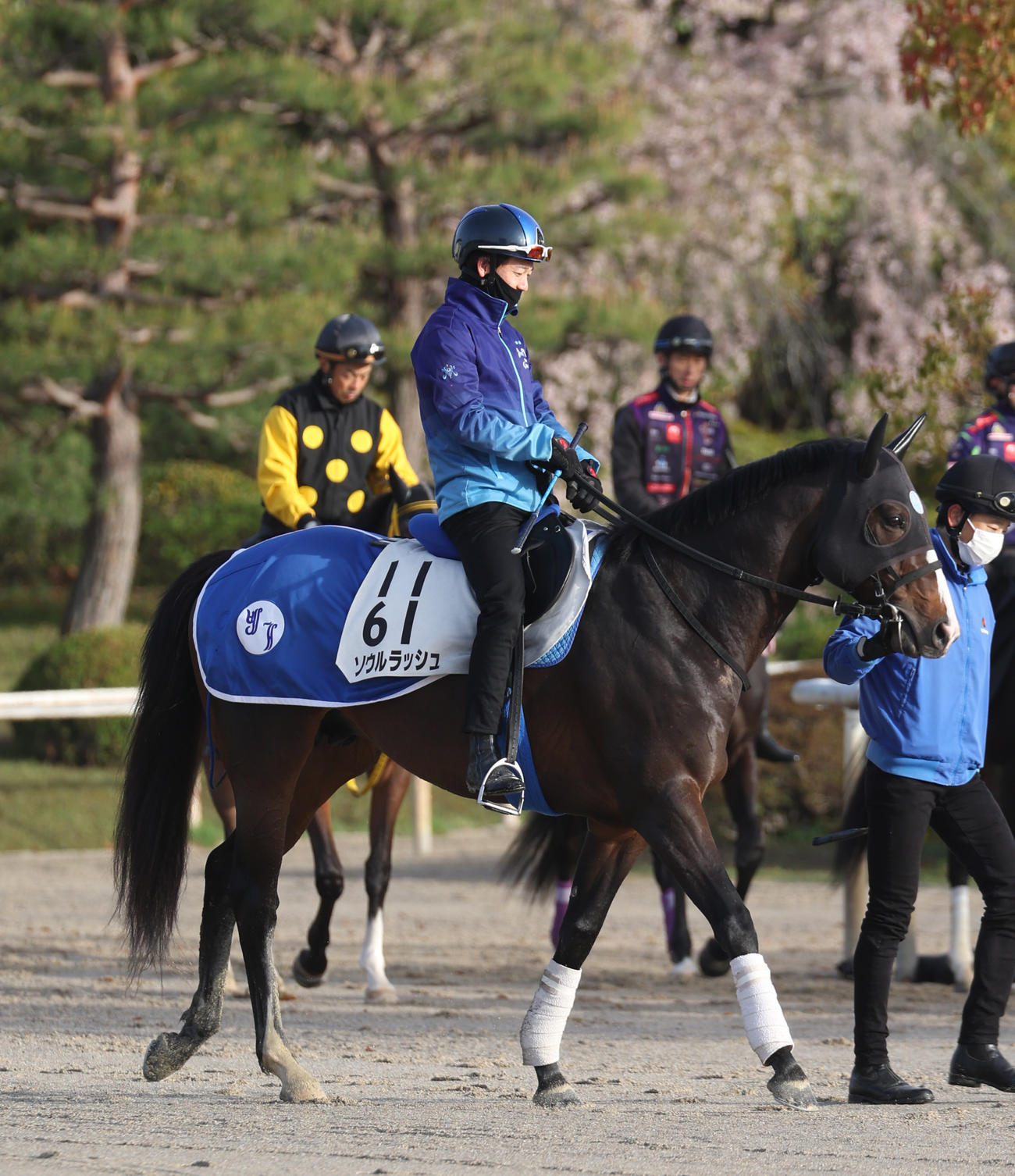 13日、松山騎手を背に運動するソウルラッシュ
