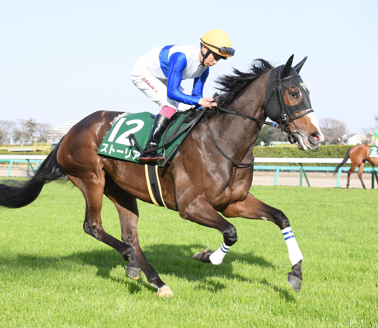 3月11日、中山牝馬S　本馬場に入場したストーリアと横山武史騎手