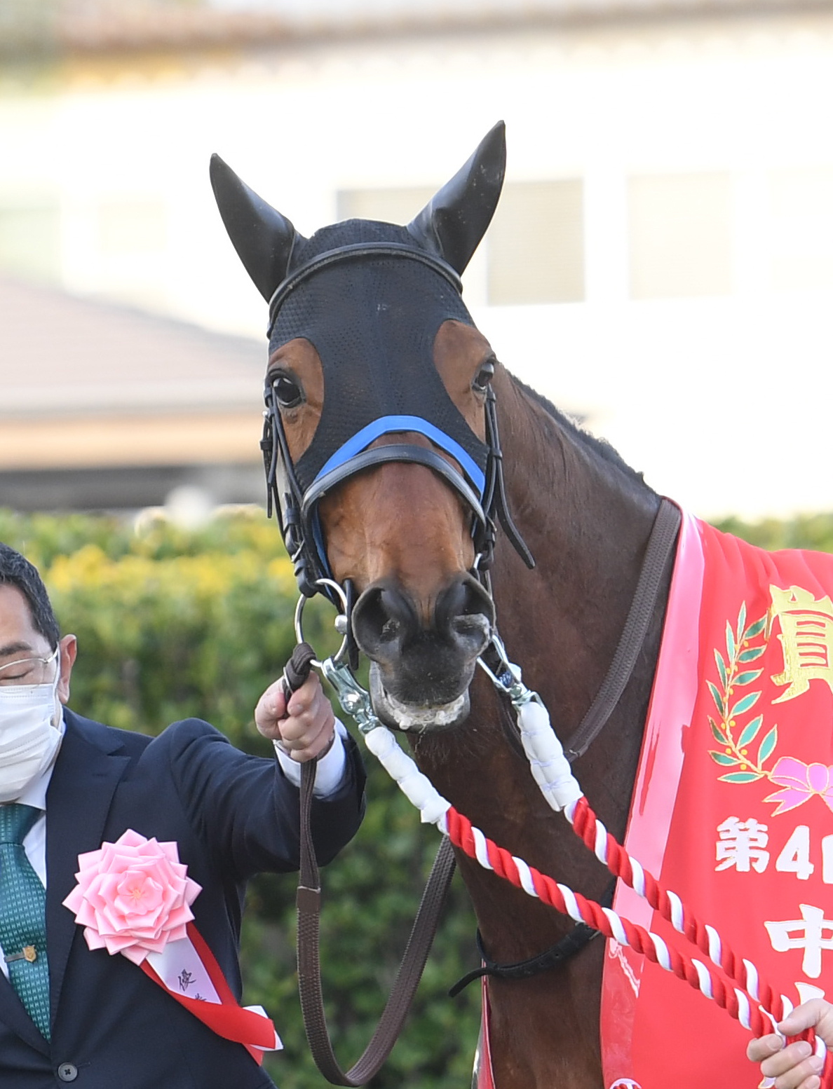 中山牝馬Sを制したスルーセブンシーズ（2023年3月11日撮影）