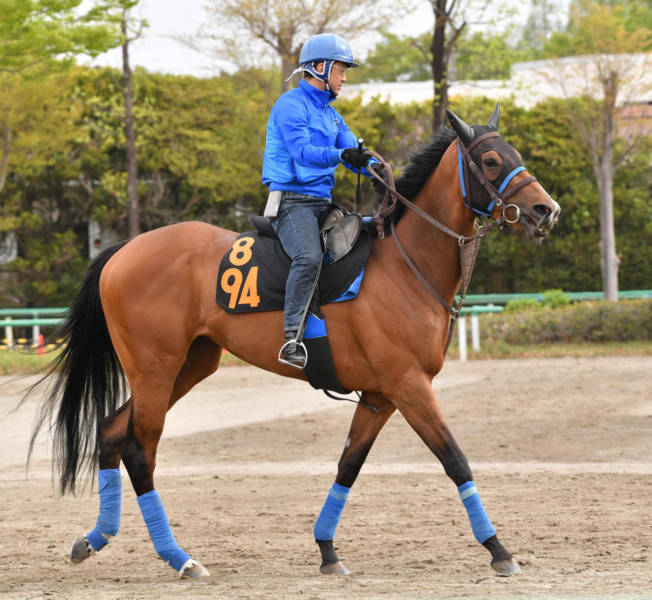 4月12日、美浦で調教されるドゥムーラン